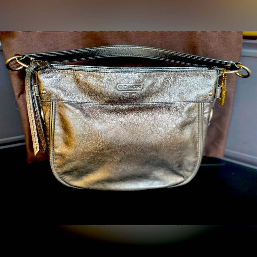 Coach Metallic Hobo Shoulder Bag
